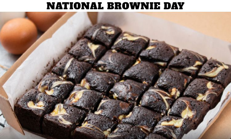 National Brownie Day