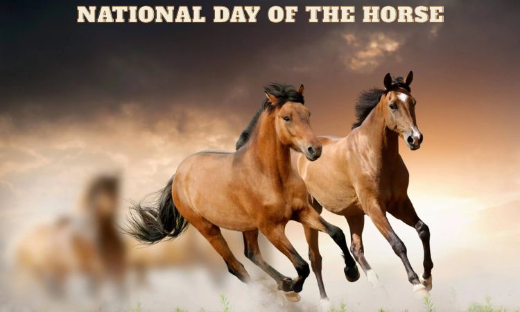 National Day of the Horse