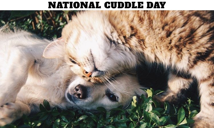 National Cuddle Day