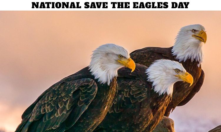 National Save The Eagles Day