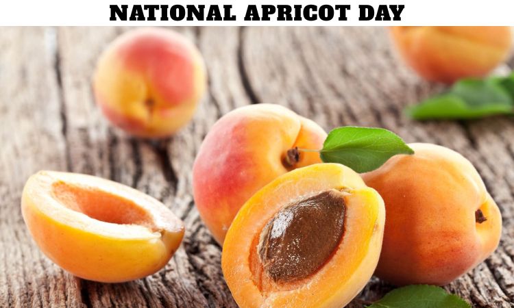 National Apricot Day