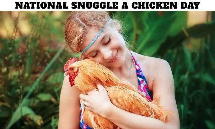 National Snuggle a Chicken Day