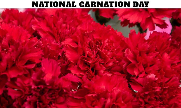 National Carnation Day
