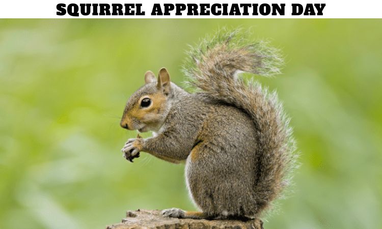 Squirrel Appreciation Day