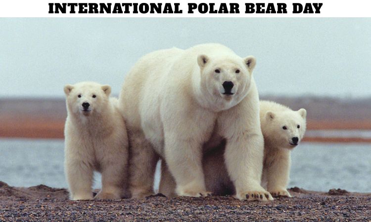 International Polar Bear Day