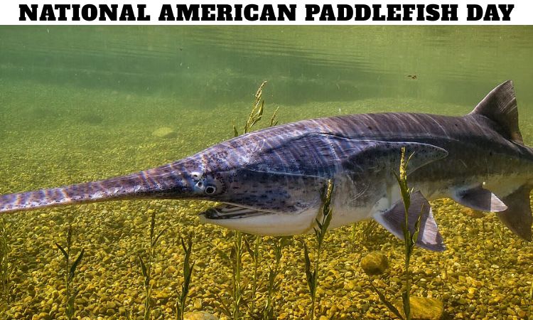 National American Paddlefish Day