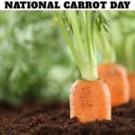 National Carrot Day
