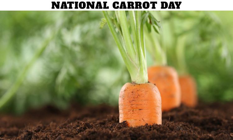 National Carrot Day