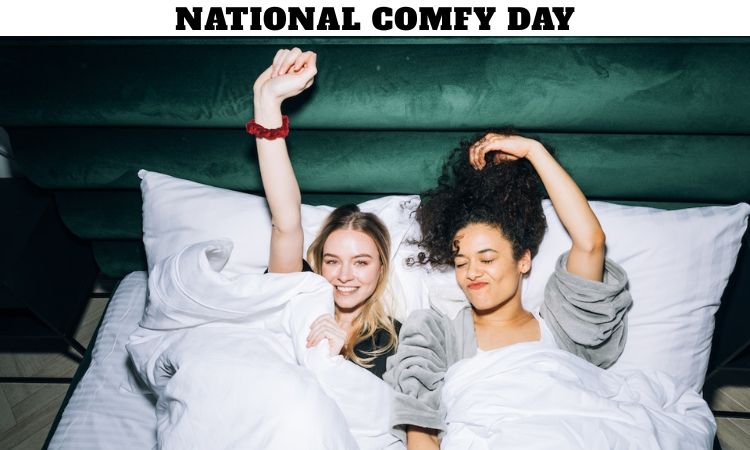 National Comfy Day