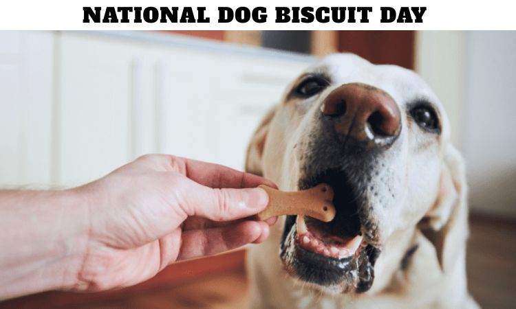 National Dog Biscuit Day