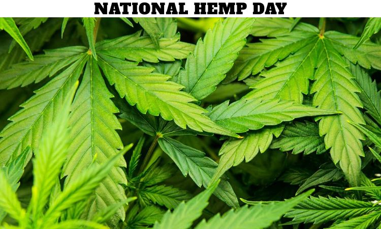 National Hemp Day