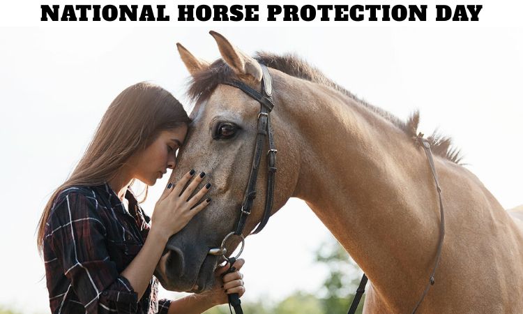 National Horse Protection Day