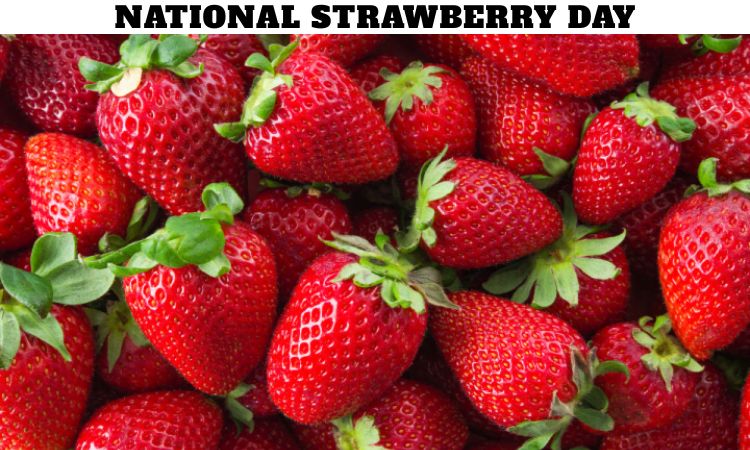 National Strawberry Day