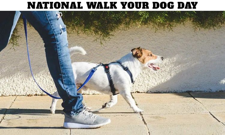 National Walk Your Dog Day