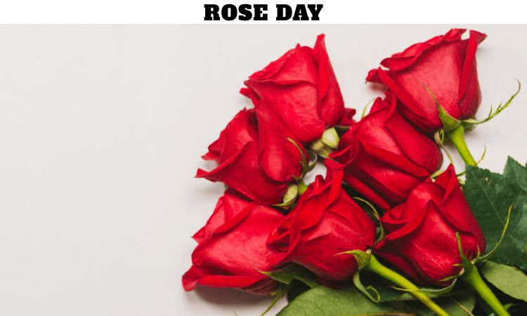 Rose Day