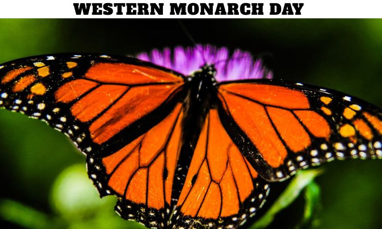 Western Monarch Day