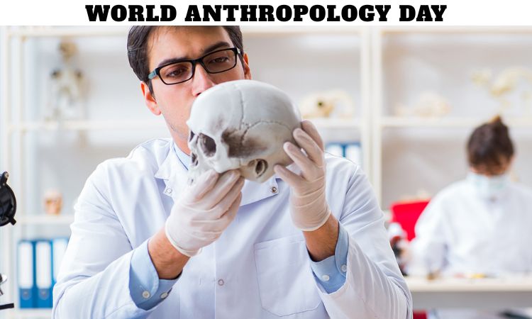 World Anthropology Day