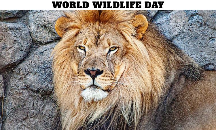 World Wildlife Day