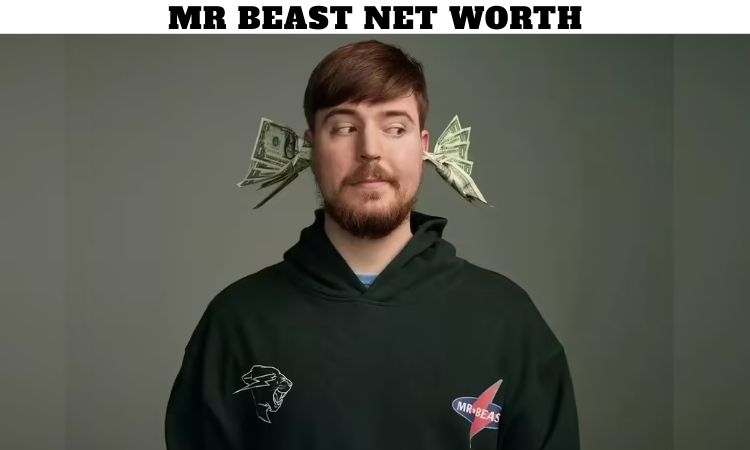 MrBeast Net Worth