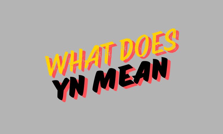 What Does YN Mean?