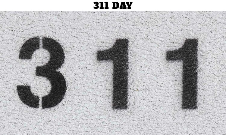 311 Day