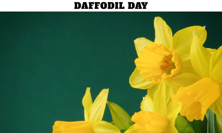 Daffodil Day