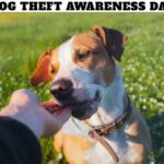 Dog Theft Awareness Day