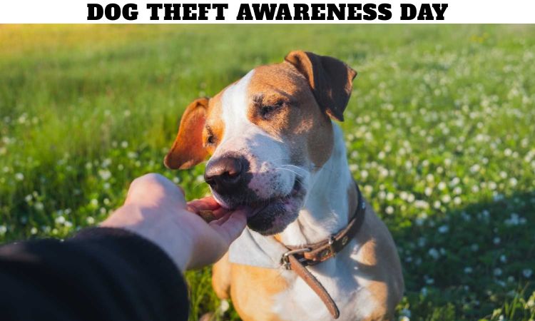 Dog Theft Awareness Day
