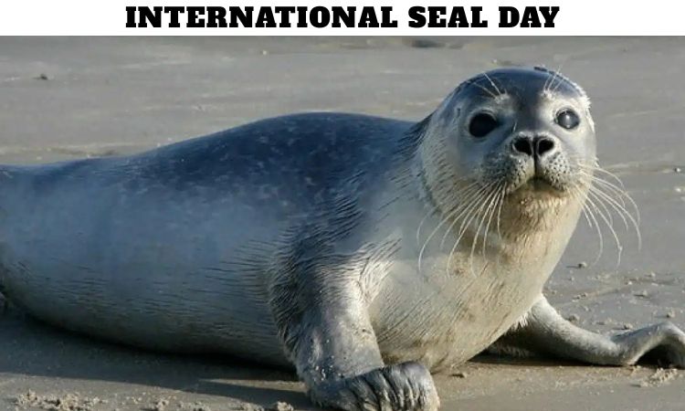 International Seal Day