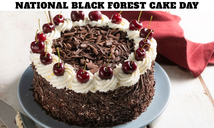 National Black Forest Cake Day