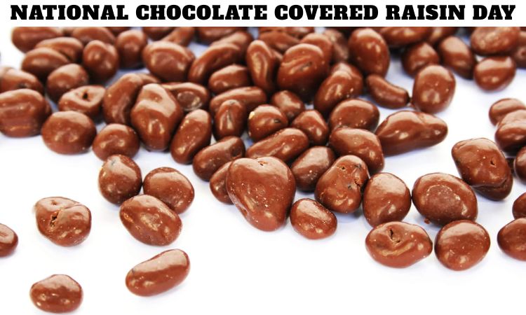 National Chocolate Covered Raisin Day