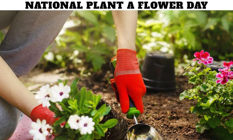 National Plant a Flower Day