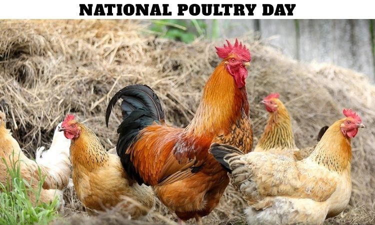 National Poultry Day