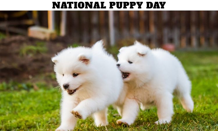 National Puppy Day