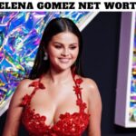 Selena Gomez Net Worth