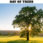 Day of Trees