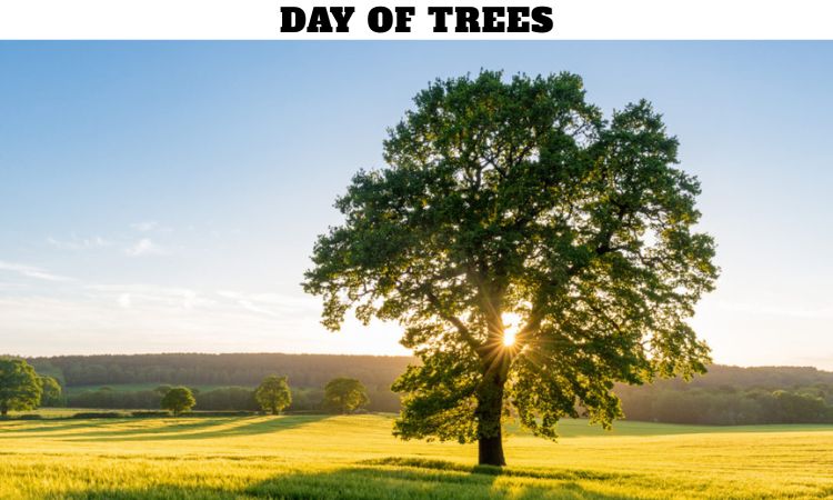 Day of Trees
