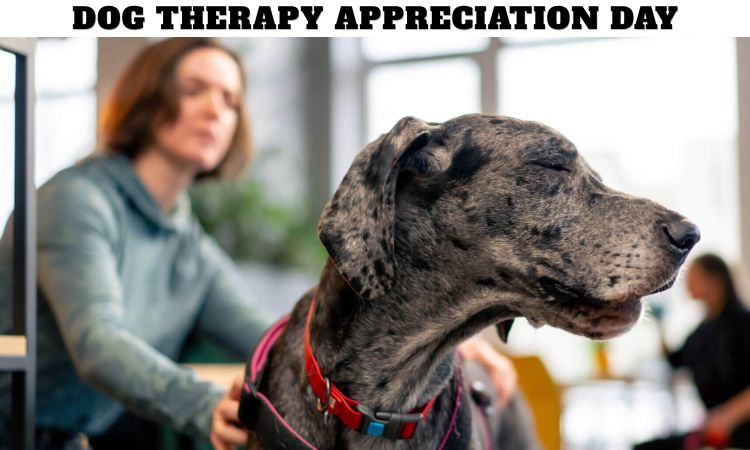 Dog Therapy Appreciation Day