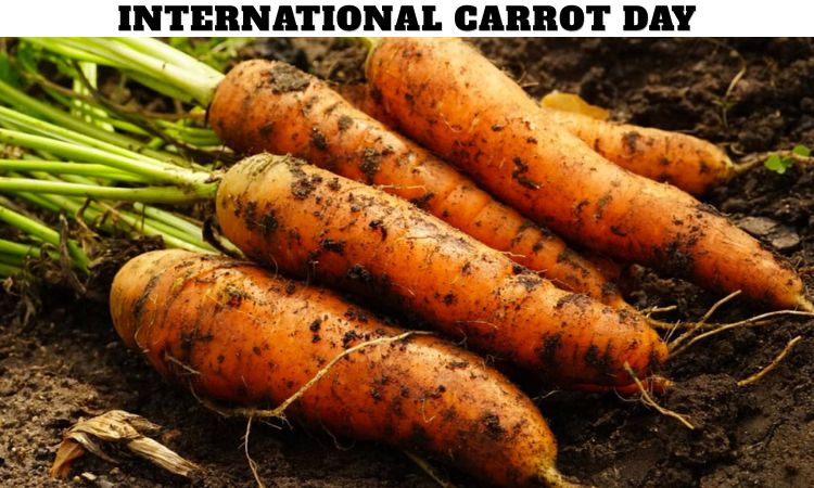 International Carrot Day