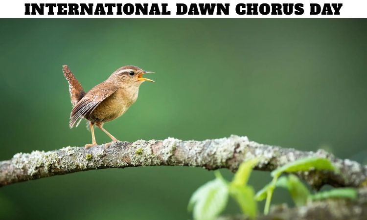 International Dawn Chorus Day