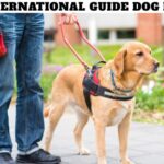 International Guide Dog Day