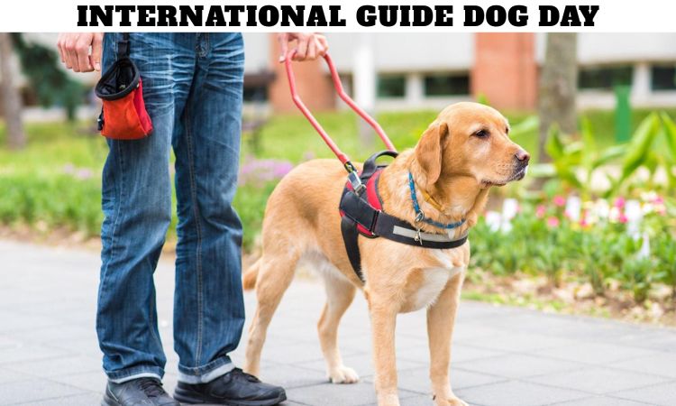International Guide Dog Day