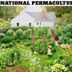 International Permaculture Day
