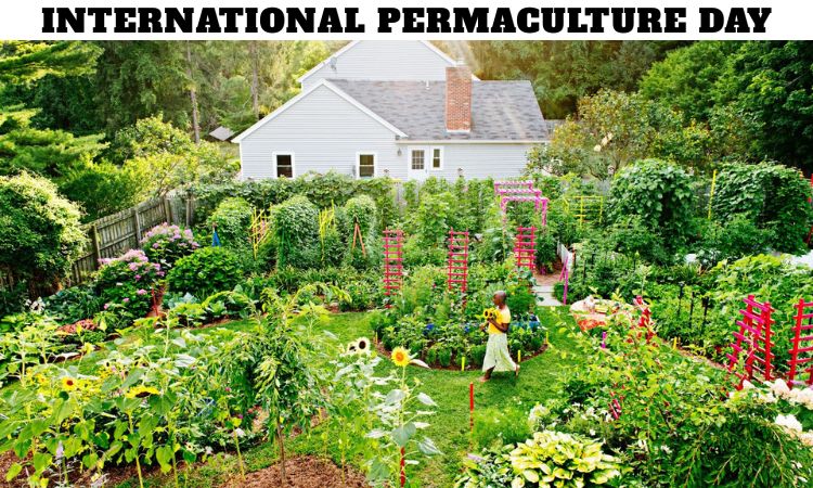 International Permaculture Day