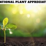 International Plant Appreciation Day