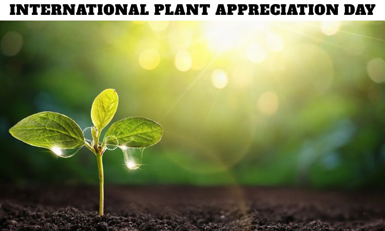 International Plant Appreciation Day