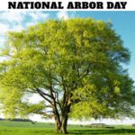 National Arbor Day