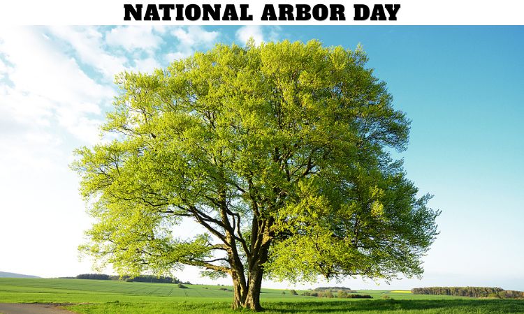 National Arbor Day