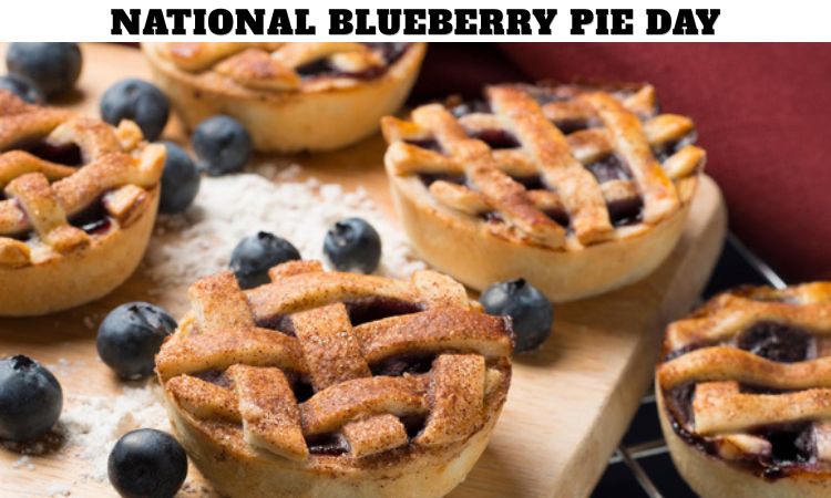 National Blueberry Pie Day