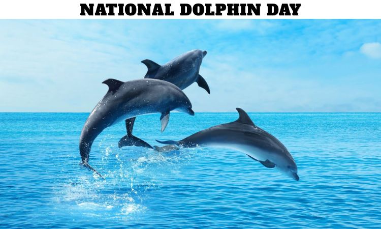 National Dolphin Day